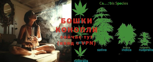 spice Бородино