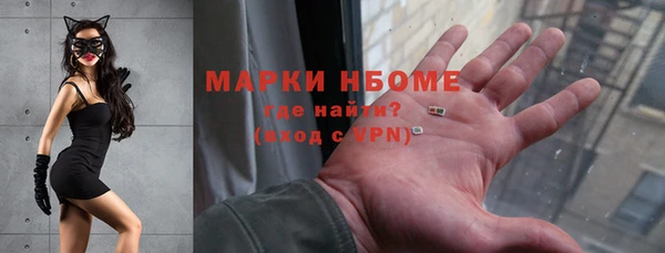 ГАЛЛЮЦИНОГЕННЫЕ ГРИБЫ Верея