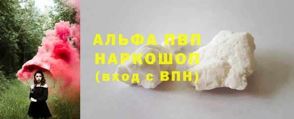 spice Бородино