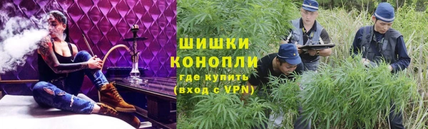 ПСИЛОЦИБИНОВЫЕ ГРИБЫ Бугульма