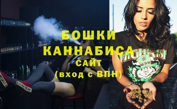 spice Бородино